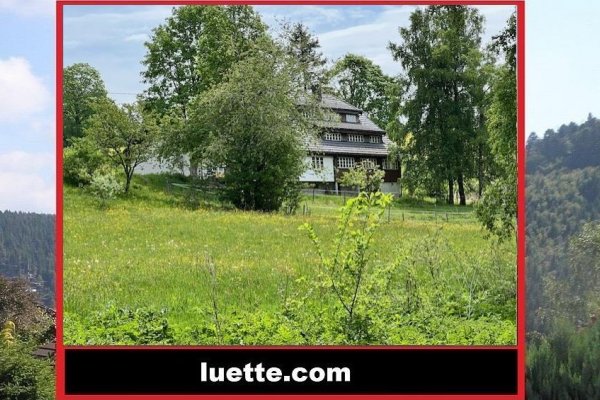 Architektenhaus, Landhaus, modern. aufwendig, stillgerecht renov., Nähe Schluchsee, Feldberg, Bauerei Waldhaus, ruh L., Badesee