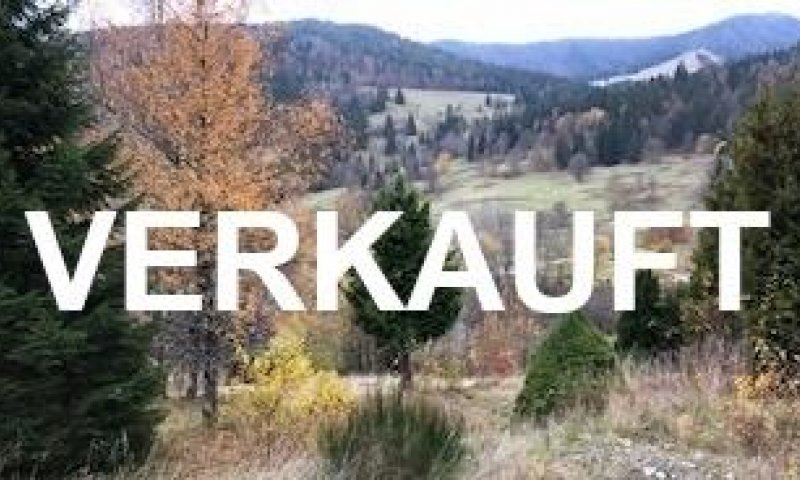 VERKAUF i. 2020 - Naturlandschaft, reizvolles Grundstück, Blick in Menzenschwand! Bauplatz
