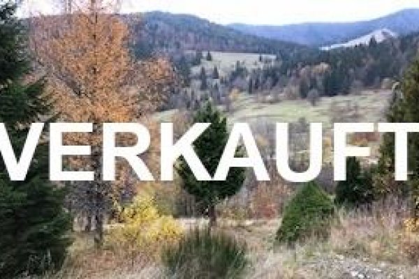 VERKAUF i. 2020 - Naturlandschaft, reizvolles Grundstück, Blick in Menzenschwand! Bauplatz
