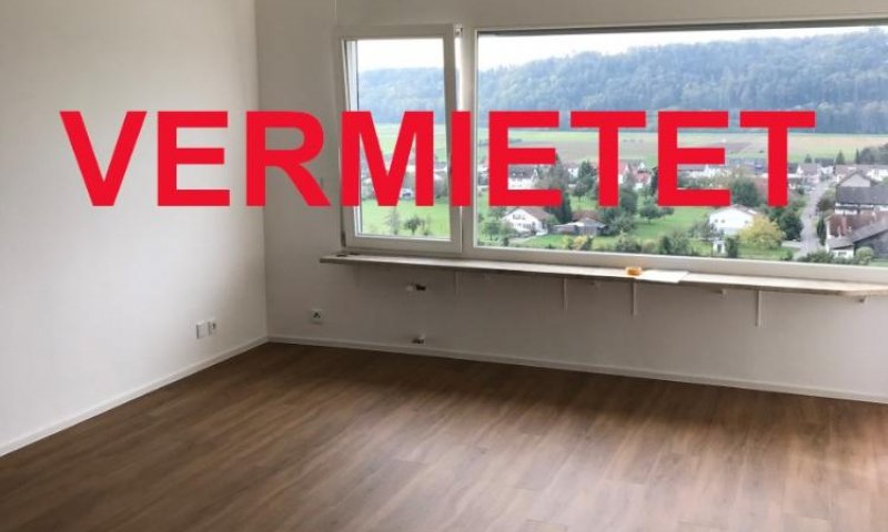 VERMIETET i. 2022 - 2-Zi-Whg, Waldshut Rheinstraße, beste Lage, Lift, Südbalkon, traumhafter Blick, moderne EBK, neues Bad, Wohnung wurde vollständig neu saniert