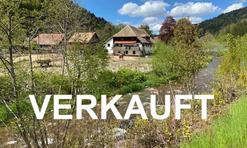 VERKAUFT i. 2021 - KEINE KÄUFERMAKLERGEBÜHR! Schwarzwald-Idyll, eingebettet i. Bachlauf, Naturlandschaft, Pferdehaltung, Offenstall, eigener Quellbrunnen (Wassernutzungsrecht), freier Blick vom EG-Zi. u. Sonnenbalkon auf Pferdeweide, Kunst, ZH