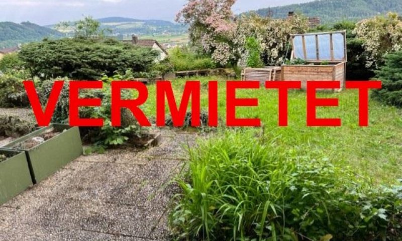 VERMIETET i. 2024 - 1-Zi-Terrassen-Whg Waldshut-Haspel, beliebte stadtnahe Lage, sep. Zugang, Windfang, EBK, Südterrasse, teilmöbliert, Fenster erneuert K-Wert 1,0
