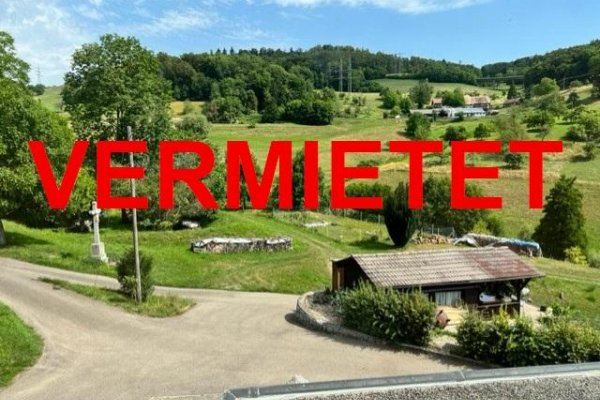 VERMIETET - In traumhaftem, ruhigem Ortsrand von Waldshut gelegenes DHH, 2 Bäder, grosse Terrasse ca. 40m², teilweise überdacht, 3fach-verglast, mod., hell, eig. ZH, Garage