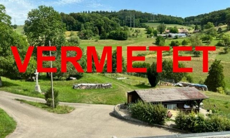 VERMIETET - In traumhaftem, ruhigem Ortsrand von Waldshut gelegenes DHH, 2 Bäder, grosse Terrasse ca. 40m², teilweise überdacht, 3fach-verglast, mod., hell, eig. ZH, Garage