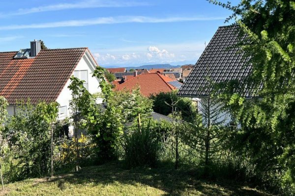Blick