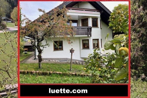 4-Zi-ETW, in kl. gepflegtem 3FamH, Balkon, EBK, Schwedenofen, Blick, Garage