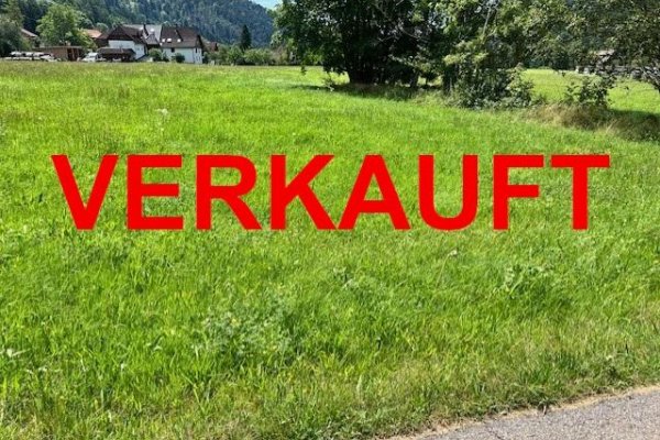 VERKAUFT i. 2024 - Freizeitgrundstück „Albtal“, ebenes Wiesengrundstück, vielseitige Nutzung denkbar