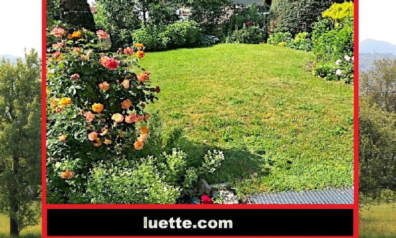 Einfamilienhaus (DHH), 7 ½ Zi, ca. 153 m² Wohnfl., in ruhiger, sonniger Lage, ideal für Familie mit Kindern, Holzpellet-HZ erneuert, mod. EBK, Wintergarten, ebenerdiges Rasengrundstück, Naturzaun, Schwedenofen, 2 Bäder, EG neuwertig, Garage