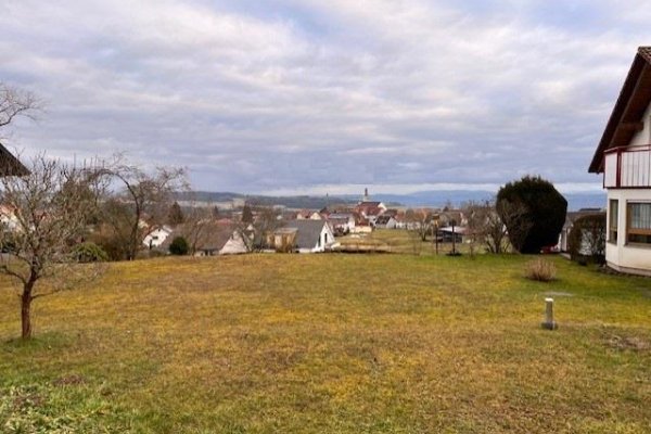 Fernblick