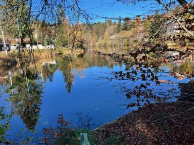 Hochwertig saniertes ehemaliges Schwesternhaus, charmante Wohlfühloase, Dachsberg, Klosterweiher, sonnig, nebelfrei, Wohnen in gesundem Klima, ca. 160 m² Wohnfl., 2 Bäder, Ost- und Südgartenfreisitz 