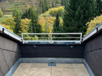 Ferienidyll, 2-Zi-ETW Falkau, 6km b. Schluchsee / Feldberg, ruhig, charmant, sonnig, lichtdurchflutet, alle Bodenbeläge, Terrasse + Blk, Fenster, Heizung erneuert, ebenerdig über eine halbe Treppe zugänglich, in herrlicher Naturlandschaft
