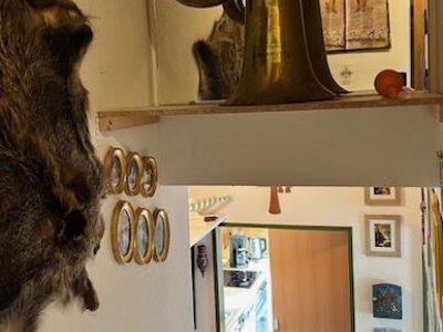 Ferienidyll, 2-Zi-ETW Falkau, 6km b. Schluchsee / Feldberg, ruhig, charmant, sonnig, lichtdurchflutet, alle Bodenbeläge, Terrasse + Blk, Fenster, Heizung erneuert, ebenerdig über eine halbe Treppe zugänglich, in herrlicher Naturlandschaft