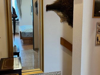 Ferienidyll, 2-Zi-ETW Falkau, 6km b. Schluchsee / Feldberg, ruhig, charmant, sonnig, lichtdurchflutet, alle Bodenbeläge, Terrasse + Blk, Fenster, Heizung erneuert, ebenerdig über eine halbe Treppe zugänglich, in herrlicher Naturlandschaft