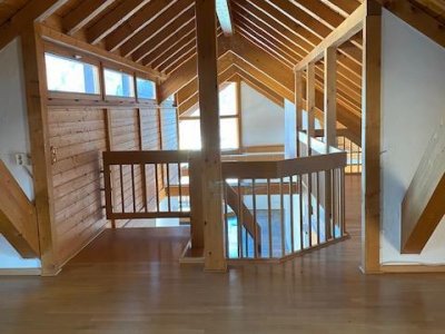 Haus im Haus / Penthouse Stühlingen, Grenzübergang Zürich, gr. Sonnenblk., Kamin, Badelandschaft, Galerie, Fb-Heiz., zahlreiche Einbauschränke