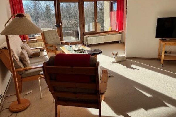 Wohnzimmer, Balkon