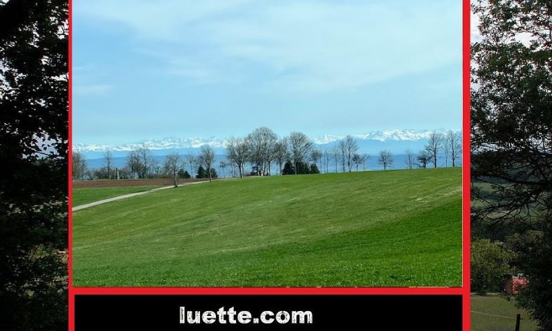 Gut geschnittene, sonnige 2 ½-Zi-ETW im 