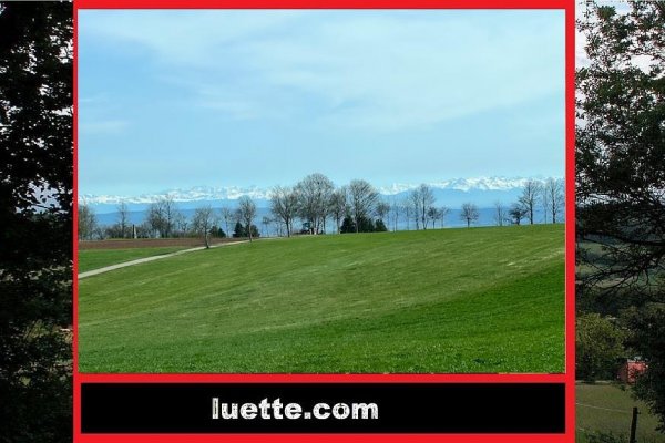 Gut geschnittene, sonnige 2 ½-Zi-ETW im 