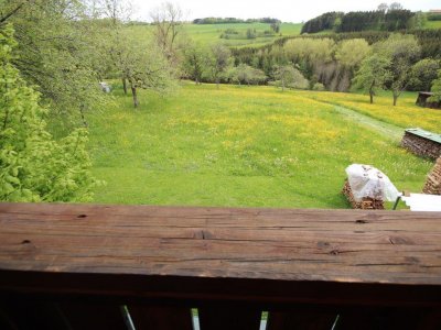 Ehem. BauernH. / LandH. Remetschwiel, Photovoltaik, Stückholzheizung, Herdofen, Kunst, Schwedenofen, 8 Zimmer, Balkon, überdachter Freisitz, Scheune, Garage