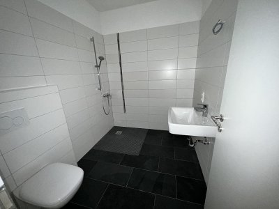 Mod. ausgebaute 4 ½-Zi-Terr.-Whg ca. 150m² Wohnfl. ideal Wohnen / Arbeiten – Büro-Praxis, grosse Sonnenterrasse, 2 Bäder, Parkett Eiche hell, Fussbodenheizung, 3fach-Verglasung 