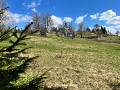 Dachsberg, exkl. saniertes Landhaus, sep. Büro, Studio, 2 Gar., Areal ca. 8.000m², fussläufig Klosterweiher, 6km St. Blasien