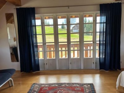 Dachsberg, exkl. saniertes Landhaus, sep. Büro, Studio, 2 Gar., Areal ca. 8.000m², fussläufig Klosterweiher, 6km St. Blasien