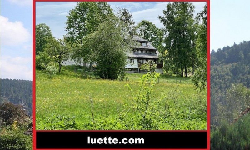 EFH - Architektenhaus, hochw. Innengestaltung u. Ausführung, Ihre neue Wohlfühloase Büro, Studio, Nähe Schluchsee ca. 18km, ca. 4,5km St. Blasien, Feldberg, Bauerei Waldhaus, Badesee 
