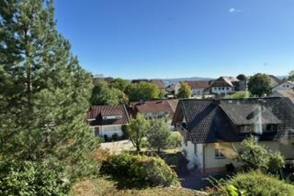 Fernblick