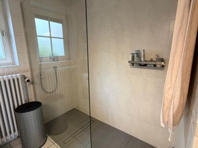 Zentral gelegene 3-Zi-Whg Waldshut, fussläufig Bhf / Kaiserstraße Einkauf, hochwertige EBK, bodenebene Dusche, Badeinbauten, Trockner, Balkon, eig. Hz, 3fach-Vergl., Parkett, sof., Einzelgarage