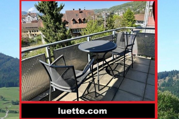 Zentral gelegene 3-Zi-Whg Waldshut, fussläufig Bhf / Kaiserstraße Einkauf, hochwertige EBK, bodenebene Dusche, Badeinbauten, Trockner, Balkon, eig. Hz, 3fach-Vergl., Parkett, sof., Einzelgarage