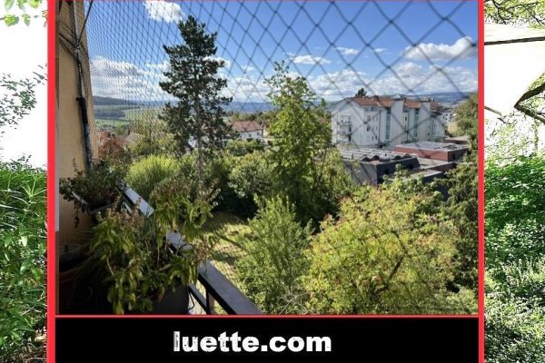 Gut geschnittene 4 1/2-Zi-ETW, Lift, EBK, modernes Bad, sep. WC, grosser Sonnenbalkon, überdacht, Markise, Alpenblick, Blick in Schweiz