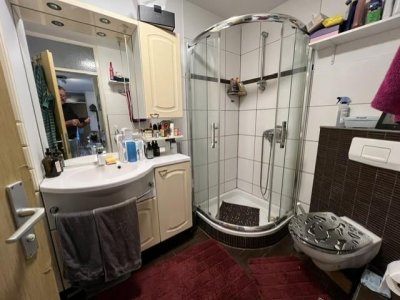 Gut geschnittene 4 1/2-Zi-ETW, Lift, EBK, modernes Bad, sep. WC, grosser Sonnenbalkon, überdacht, Markise, Alpenblick, Blick in Schweiz
