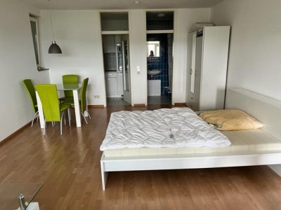 Attraktive sep. zugängl. 1-Zi-Terrassen-Whg Waldshut-Haspel, ruhig, beliebte stadtnahe Lage, gr. überd. Sonnenterrasse, Windfang, EBK, teilmöbliert, Fenster erneuert K-Wert 1,0
