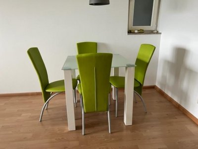 Attraktive sep. zugängl. 1-Zi-Terrassen-Whg Waldshut-Haspel, ruhig, beliebte stadtnahe Lage, gr. überd. Sonnenterrasse, Windfang, EBK, teilmöbliert, Fenster erneuert K-Wert 1,0